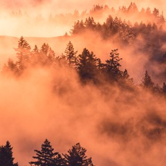 Hold This Tight - I Know Leopard Cover