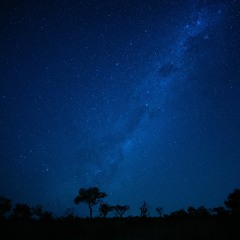 Night Chorus 1 AM - Queen Elisabeth National Park, Uganda