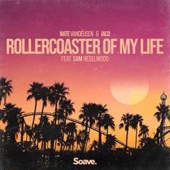 Nate VanDeusen & Iaco - Rollercoaster Of My Life (ft. Sam Heselwood)
