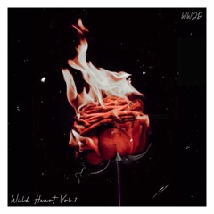 Wild Heart Vol. 7