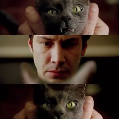 Good_Morning_ Good_Night