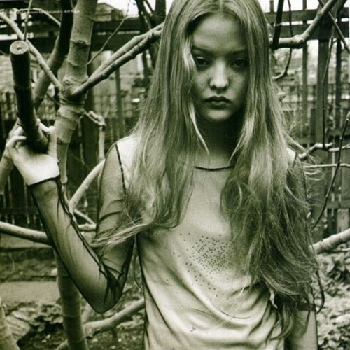 true - money counter [project + ziplocker]