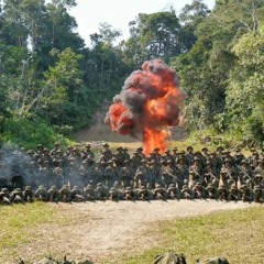 INSTRUCTOR EN SELVA