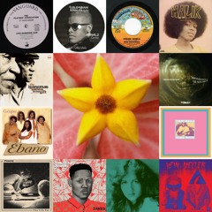 Floral Aural vol 5