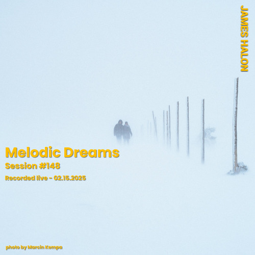 Melodic Dreams #148 - February 15th 2025 [live]