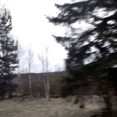 take the L (feat. skore)