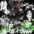 Artwork for Dumb Ahh Ho (feat. Big Haven & Dshiesty)