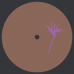 Premiere: B1. Loopdeville - Dig Bicks [PRP018]