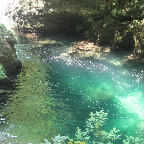 ELYSIAN FIELDS PROD BY SUAAVI #NATUREPLUGG