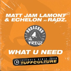 Matt Jam Lamont & Echelon Ft Radz - What U Need (Vocal Mix)Undagrnd Freqz