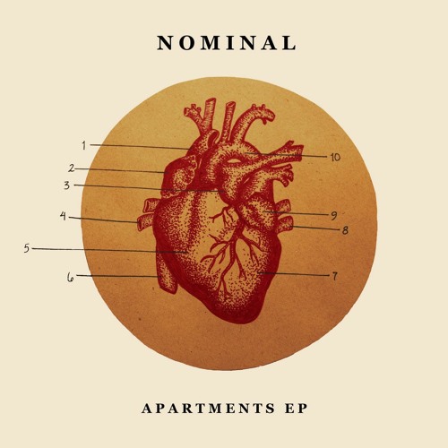 Stream NOMINAL - EVERYDAY ANYONE by NOMINAL | Listen online for free on  SoundCloud