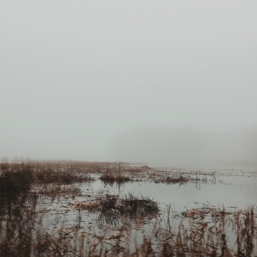 Reflections in Tears