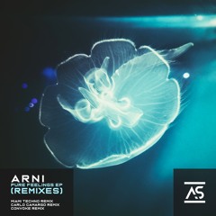 Arni - Look Around (Convoke Remix) [OUT NOW]