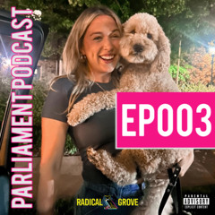 Parliament Podcast Ep 003 - Kate Gussin