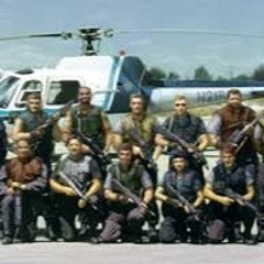 Biohazard Samples Fun / Resident Evil fun / S.T.A.R.S / preview