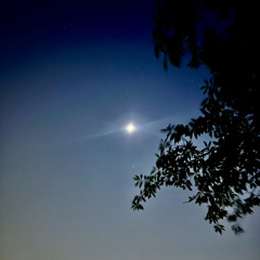 nail salon @ Fountain Green 6/13/24