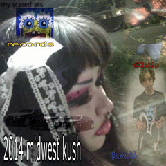 *BOP* acid souljah x evil money - 2014 midwest kush
