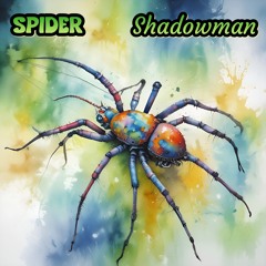 Spider * Instrumental