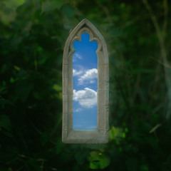Penryn - Vibrant Plume