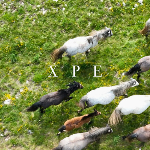 X P E (do you love anybody?)