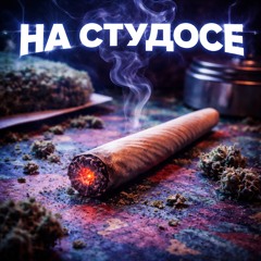 НА СТУДОСЕ