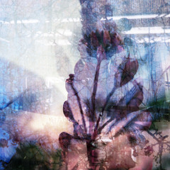 Strength of Weak Ties (Single)