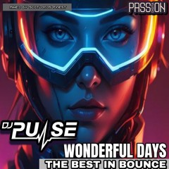 DJ Pulse Wonderfull days