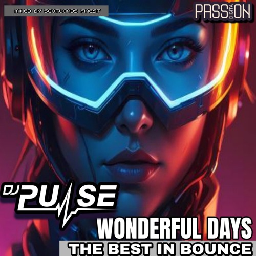 DJ Pulse Wonderfull days