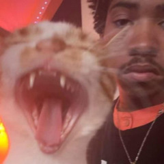 Thank You Dean Blunt for Saving My Life