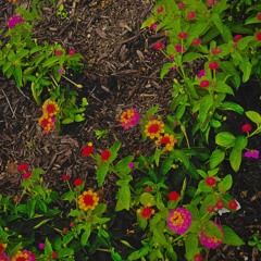 a soft life | prod. Robin_cause