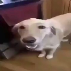 whatevr u need ft. ICEDOUTOMNITRIX (prod. yungkeeta x mekai b)