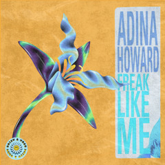 adina howard - freak like me (daisy&yaro remix)