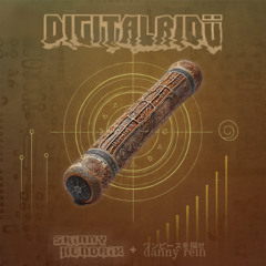 Digitalridü (ft. Danny Rein)