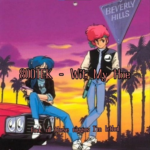Wit My Hoe! - 800TEK Remix (slowed Down)