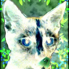 GOLDEN EARRING.Twilight Zone COVER