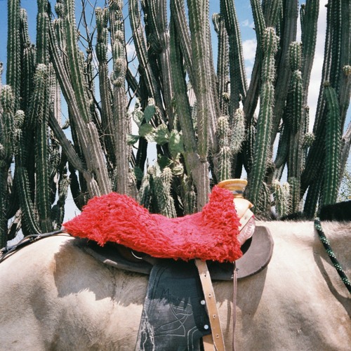 Private Dox'art 2021