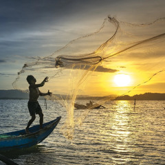 The Parable of the Net