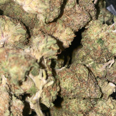 Grams ft. RX2Doe (prod. WAKEUPGAVIN)