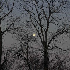 pretty boy ~ fifi <3 (prod.teefkief)