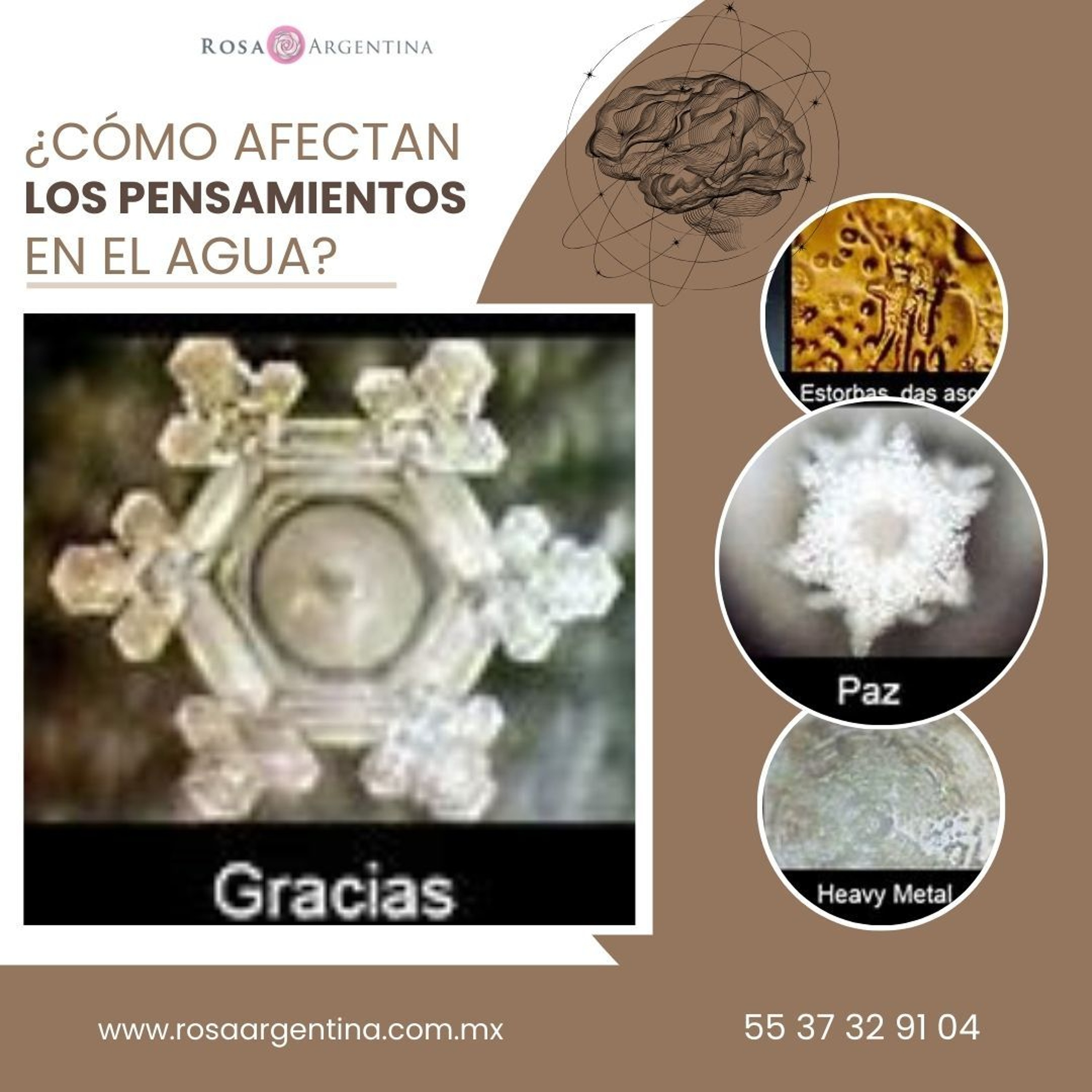 Rosa Argentina Rivas Lacayo