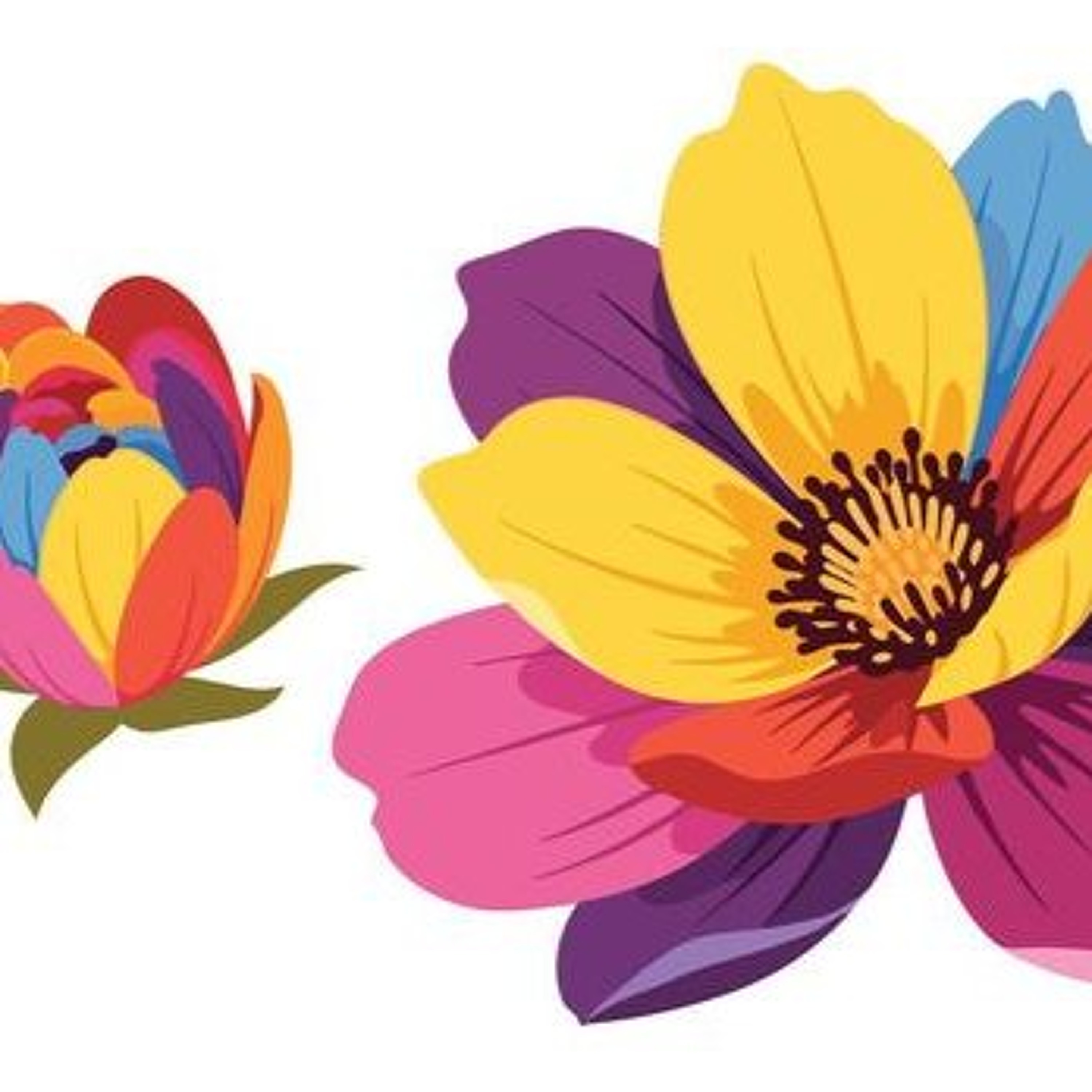 BLOOM 15 episode artwork