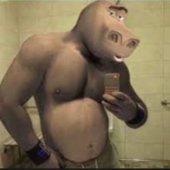 tooploop left_dd memphis