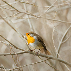 New Path Perspective Blog: How 300 Weekly Reviews Transformed My Consistency and Clarity