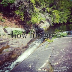 *hσwlifegσes . . . [+ alcurists]