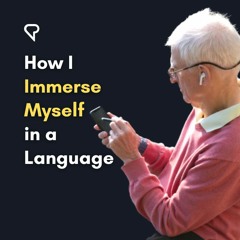 How I Immerse Myself in a Language