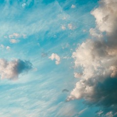 My Little Ethical Wool Shop