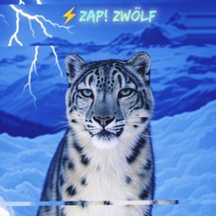 ⚡ZAP! zwölf