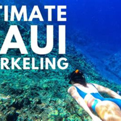 Best Snorkeling In Maui For Beginners Prices Reviews