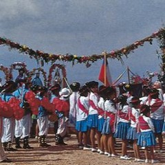 30 Flauta Mapuche (Sonidos precolombinos)