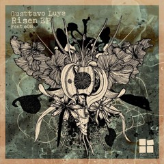 Gusttavo Luys - Obscure Original Mix - 132bpm